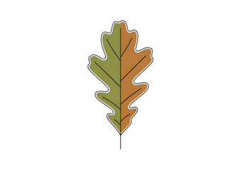 A stylized illustration of an oak leaf, featuring a gradient of autumnal colors.