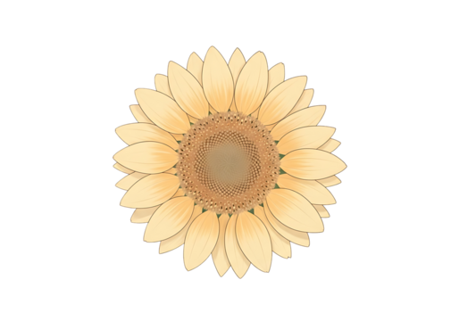 A radiant, light peach-colored sunflower, centered against a deep black background, displays intricate details of its petals and seed-filled center.