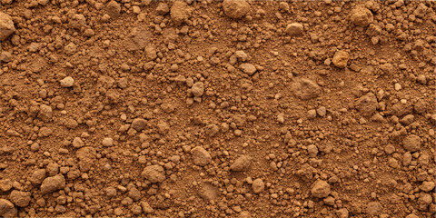 The ground displays a blend of fine and coarse brown soil, scattered with small rocks and pebbles, illuminated by bright sunlight, showcasing a natural earthy environment