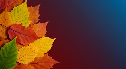 Autumn Leaves Background Colorful Fall Foliage red leaves orange leaves yellow leaves green leaves vibrant seasonal nature copy space design