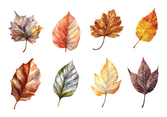 Watercolor autumn leaves botanical illustration set