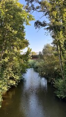 Serene view of a lush forest and a calm stream with reflections, capturing the peaceful tranquility of nature and the harmony of water and foliage