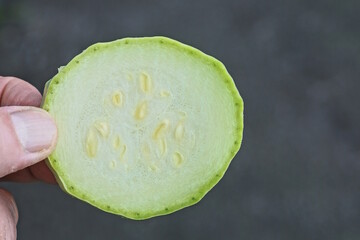 fingers of hand holding one round green piece of fresh zucchini vegetable on summer street on gray...