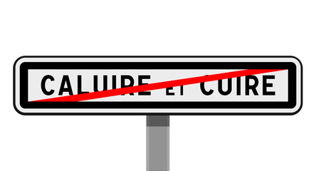 Panneau de sortie Caluire-et-Cuire, Métropole de Lyon, Auvergne-Rhône-Alpes