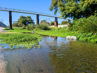 Los Angeles River by Atwater Village in Northeast LA