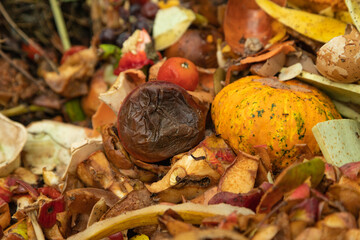 Compost pile made of organic food, leaves, vegetable and fruit waste mix