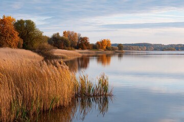 Obraz premium Tranquil lake shore surrounded by autumn foliage and reeds Generative AI