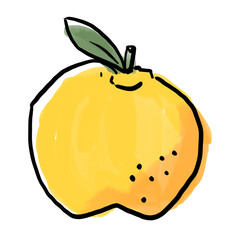 水彩風のゆずイラスト　冬至・季節の果物・和の素材