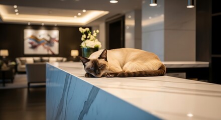 Siamese cat resting on a marble countertop in a modern hotel lobby