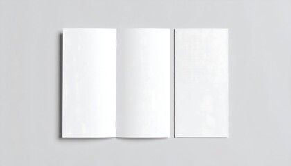 Fototapeta premium Blank tri-fold brochure mockup
