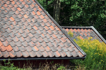red roof tiles,nacka,sverige,stockholm,sweden,,mats,summer,red