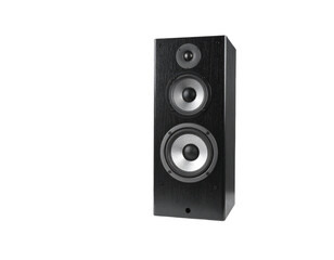 Obraz premium audio speaker isolated on white