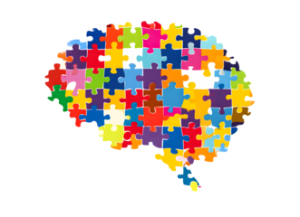 Colorful puzzle pieces forming the shape of a human brain isolated on transparent background