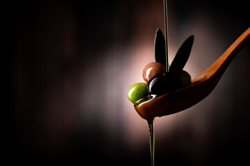 Olive branch soaked in olive oil on a wooden spoon