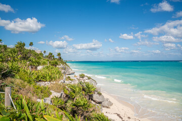 Fototapeta premium Turquoise Caribbean waters and tropical plants overlooking sandy beach in Tulum, Mexico.