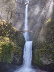 waterfall in the forest