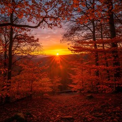 Autumn Sunrise in the Forest.