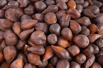 Snake Skin Fruit