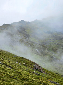Tree Sisters Mountains - Glen Coe Valley - Scotland