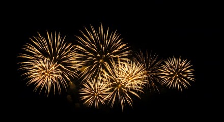 Fototapeta premium Golden fireworks exploding in the night sky. The fireworks create a stunning display of light and color against the dark background.