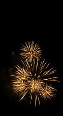 Golden fireworks exploding in the night sky. The fireworks create a stunning visual display against the dark background.