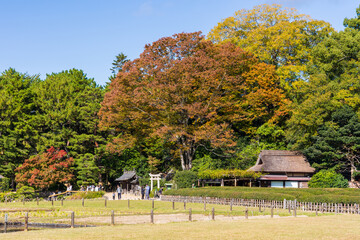 Obraz premium 日本の風景・秋 日本三名園 岡山後楽園