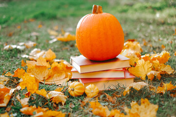 .Autumn thematic reading.stack of books and maple orange leaves and pumpkins set in autumn garden...