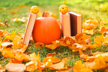 Halloween Books. Pumpkins and Books.Autumn thematic reading.Start school and college season concept