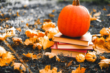 Books on the autumn theme.Halloween Books.stack of books and maple orange leaves and pumpkins set...