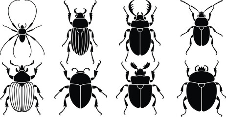 black insect silhouettes, spider and beetle vector set, entomology icons, bug shapes, symmetrical insect designs, isolated graphic, cad drawing flat illustration