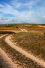 Fototapeta premium Winding dirt road crossing dry meadow under blue sky in Sardinia, Italy