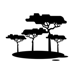 Obraz premium silhouette tree backyard