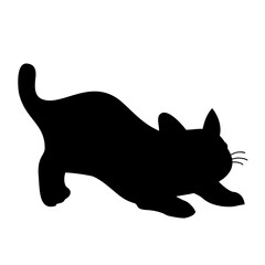 silhouette cat run