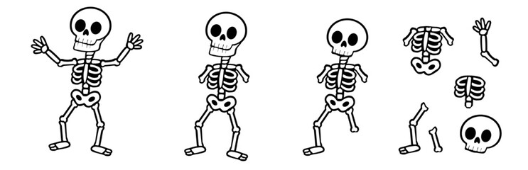 Vector illustration of halloween spooky skeleton in black and white along with various bone separation on an isolated white background
