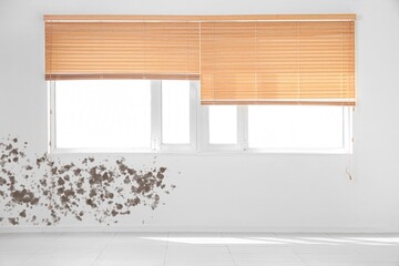 Interior of empty room with mildew on wall near window