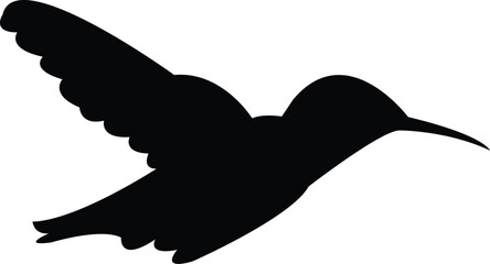 Obraz premium Flying Amethyst woodstar bird Silhouette Design And Vector Illustration. 