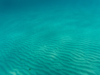 El Cielo, Cozumel Underwater view of turquoise ocean above rippled white sand sea floor.