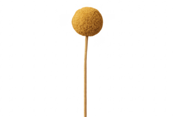 Round cookie on stick with transparent background