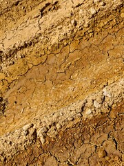 Arid Earth Cracked Soil Texture in Harsh Sunlight Climate Change Impact.