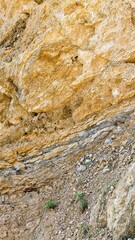 Eroded Cliff Face with Layered Sedimentary Rock and Sparse Vegetation.