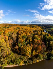 Autumn forest, aerial view