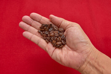 Close-up of a hand holding freshly roasted coffee beans against a vibrant red background.