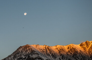 Bird flying past moon on blue sky day with sun hitting snowy alpine mountains in Queenstown New Zealand