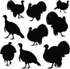 Turkey bird silhouettes, farm poultry vector illustration, wild turkey graphic art, domestic fowl shadow shapes, Thanksgiving holiday animal design elements, wildlife clipart
