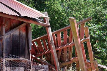 Part of a deteriorated wood shag