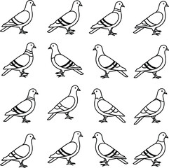 Pigeon bird illustration, flying pigeon outline, dove drawing, pigeon vector design, bird silhouette, pigeon graphic, wildlife art, pigeon sketch
