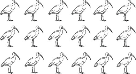 Ibis bird illustration, hand drawn line art, exotic bird sketch, wildlife drawing, tropical animal, nature design, black white silhouette
