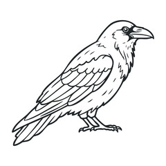 Fototapeta premium Captivating black raven perched on branch forest habitat wildlife illustration natural environment side view bird symbolism. Vector outline illustration