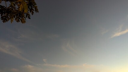 A serene sky at dawn with a few whispy clouds and the top of a tree in the corner. The sun's last...