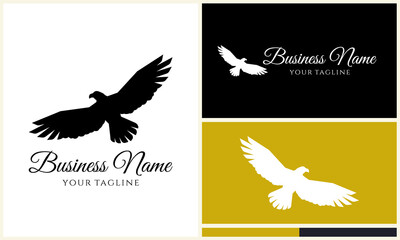 Eagle Logo Design Variations. (72)